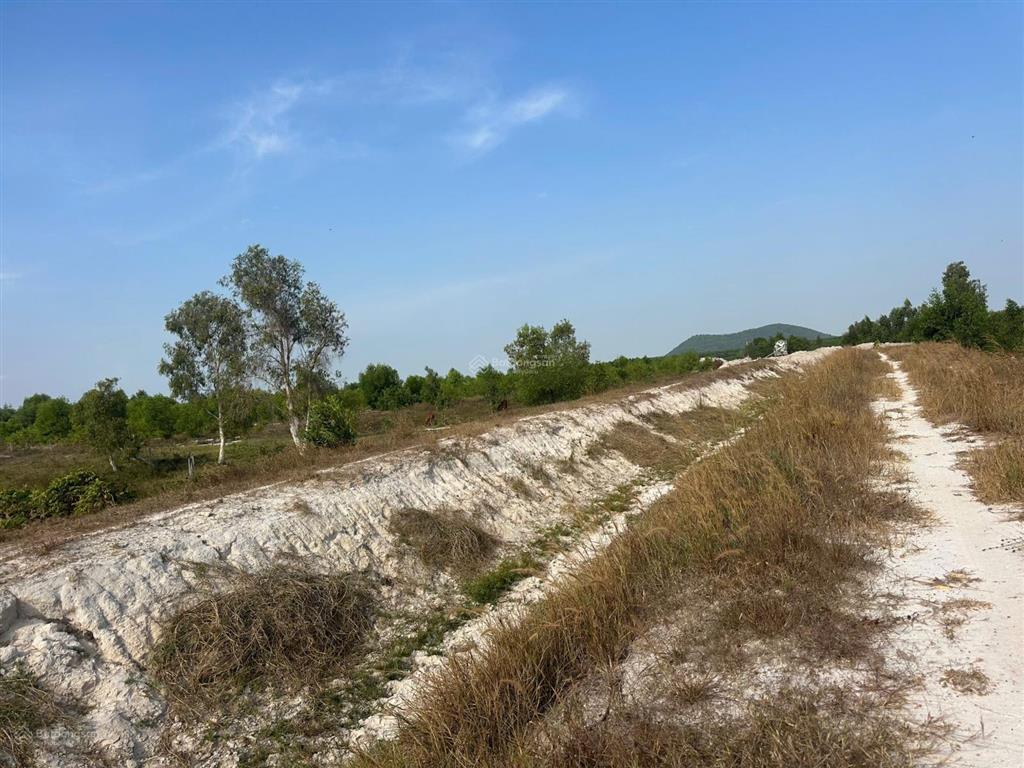 Bán 2004.2m2 giá 400 triệu đường kênh tân bình giá tốt