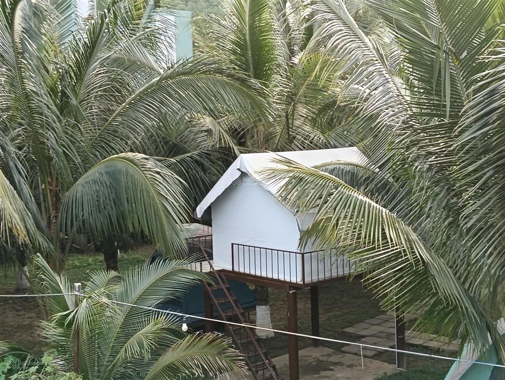 (chỉ 1,5tr/m2) siêu phẩm đất farm sát sông cu đê  giữa thủ phủ du lịch hòa bắc
