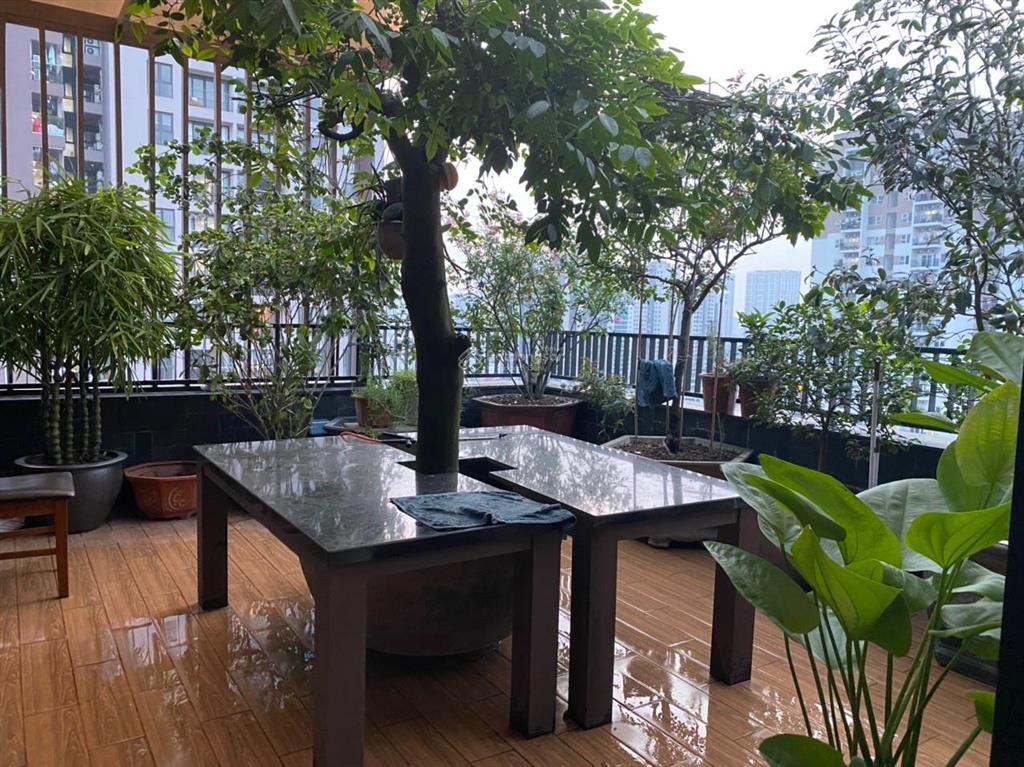 Chính chủ bán căn penthouse 230m2, 4 ngủ tại phú gia residence, full đồ, ban công đông bắc, sổ đỏ.
