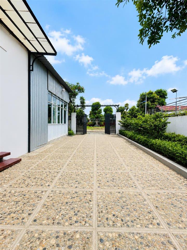 Biệt thự sân vườn 556m2 full thổ cư  mặt tiền nhị bình 7  ngang 14m hiếm có  chỉ 14,5 tỷ