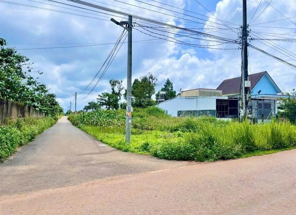 Kẹt tiền cuối năm, bán gấp lô đất hoà bắc