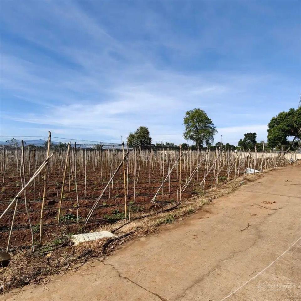 Lô góc 2 mặt tiền siêu thoáng tại hoà ninh