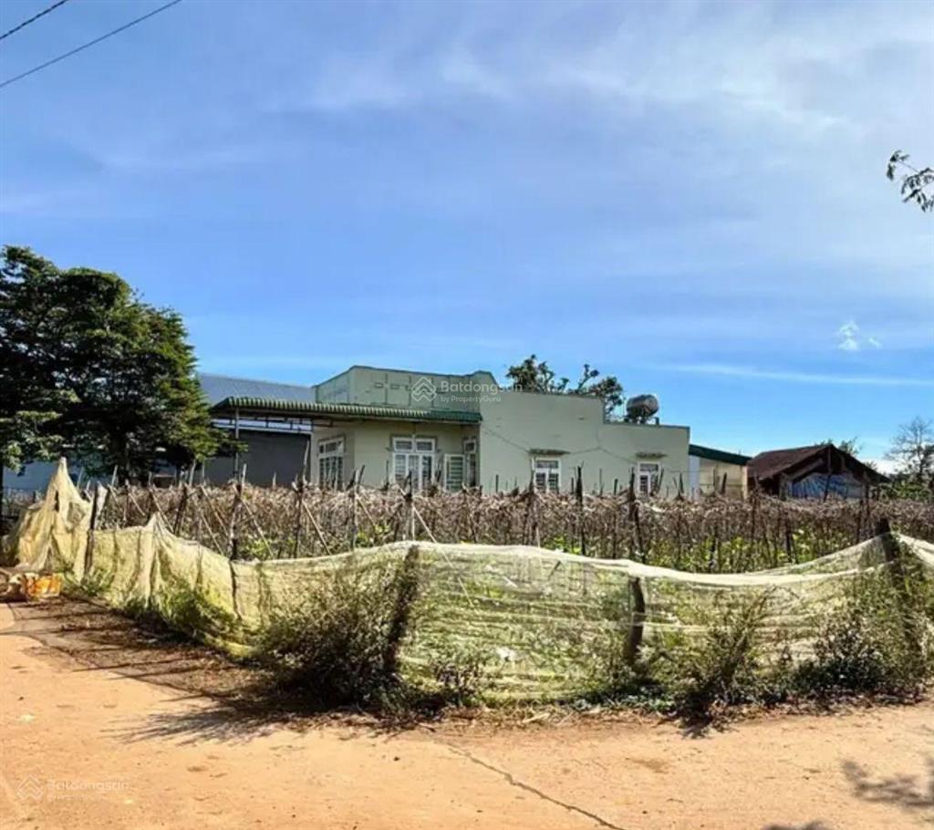 Lô góc 2 mặt tiền siêu thoáng tại hoà ninh