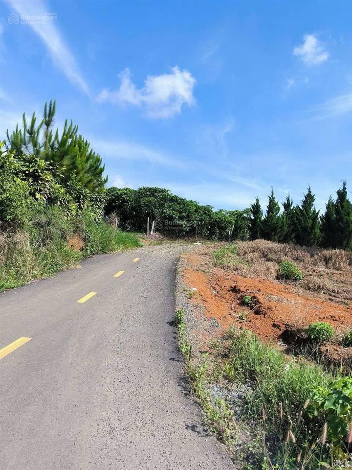 Đất hoà ninh cách trục chính 50m