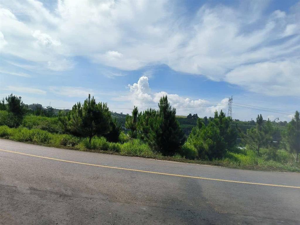 Đất hoà ninh cách trục chính 50m