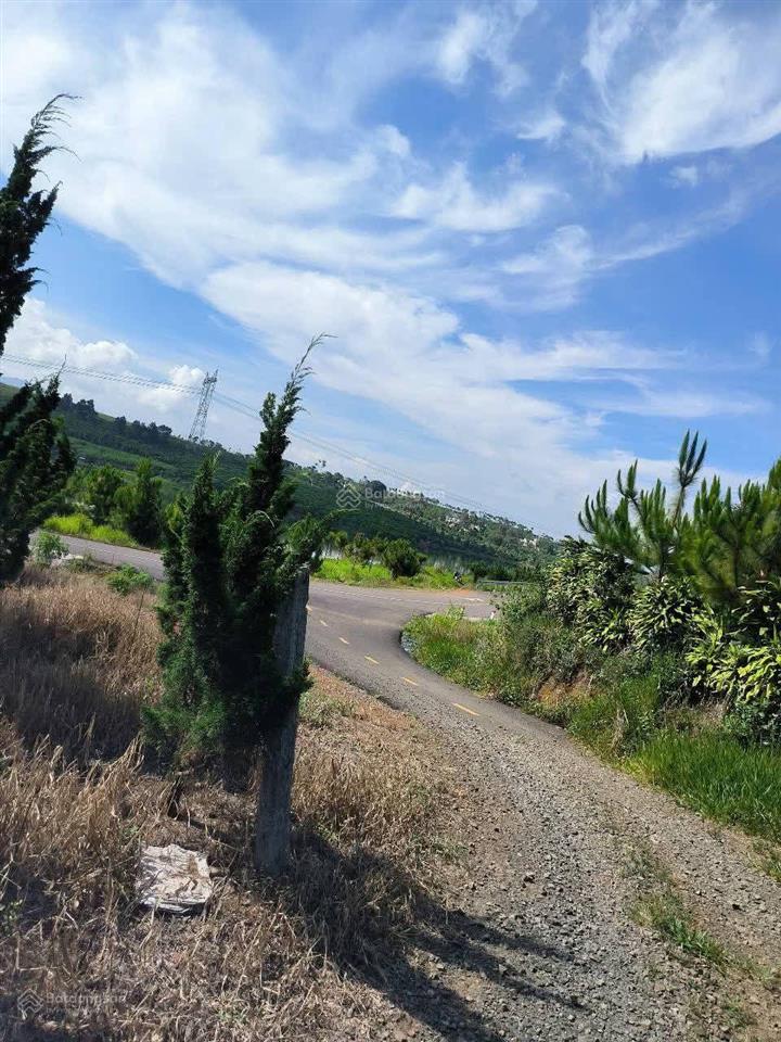 Đất hoà ninh cách trục chính 50m