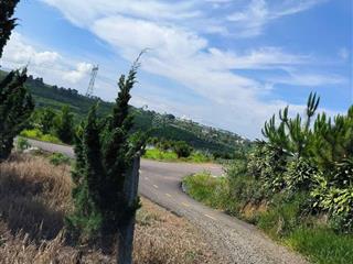 Đất hoà ninh cách trục chính 50m