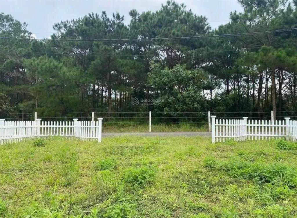 Đất đẹp gần trung tâm hành chính