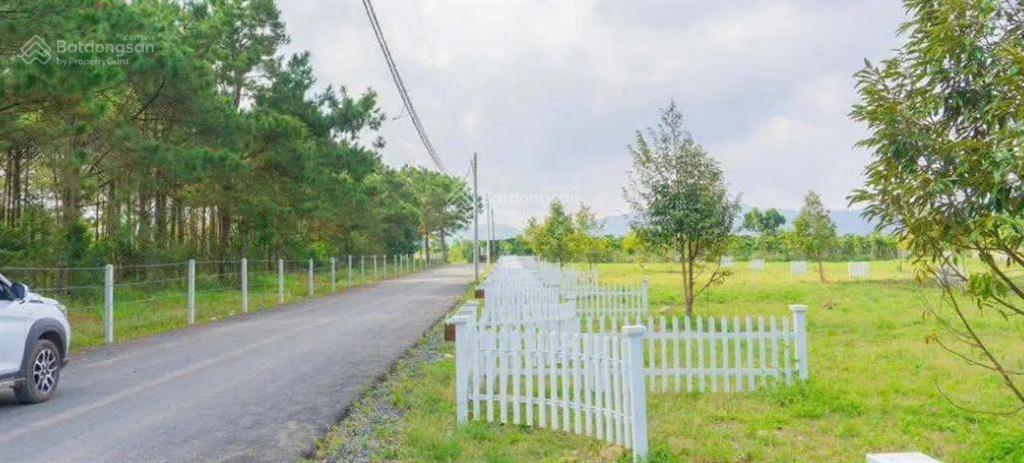 Đất đẹp gần trung tâm hành chính