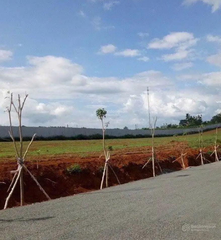 Đất hoà ninh 7x24m2, cách chợ 1km