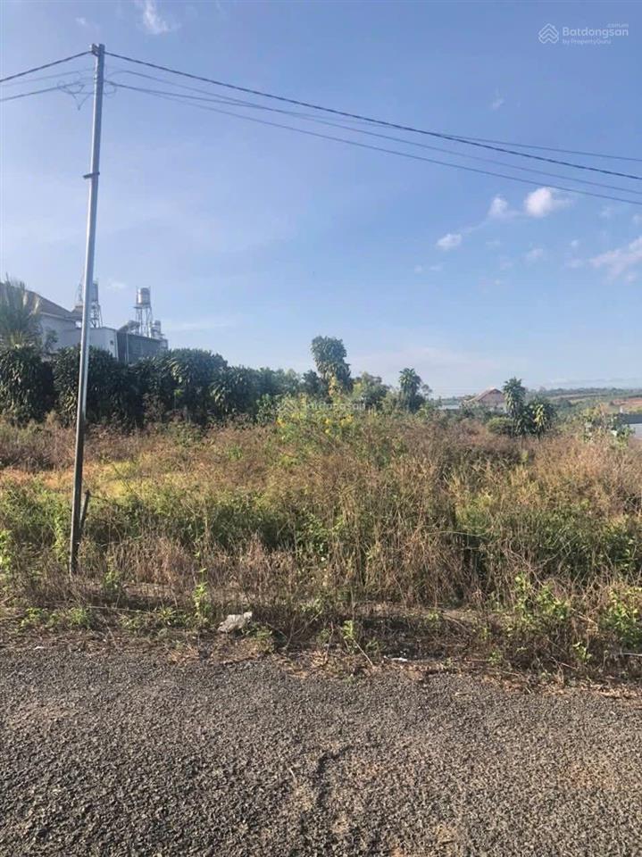 Bán đất tại xã hoà bắc, di linh, lâm đồng, giá 960 triệu, diện tích 85 m2