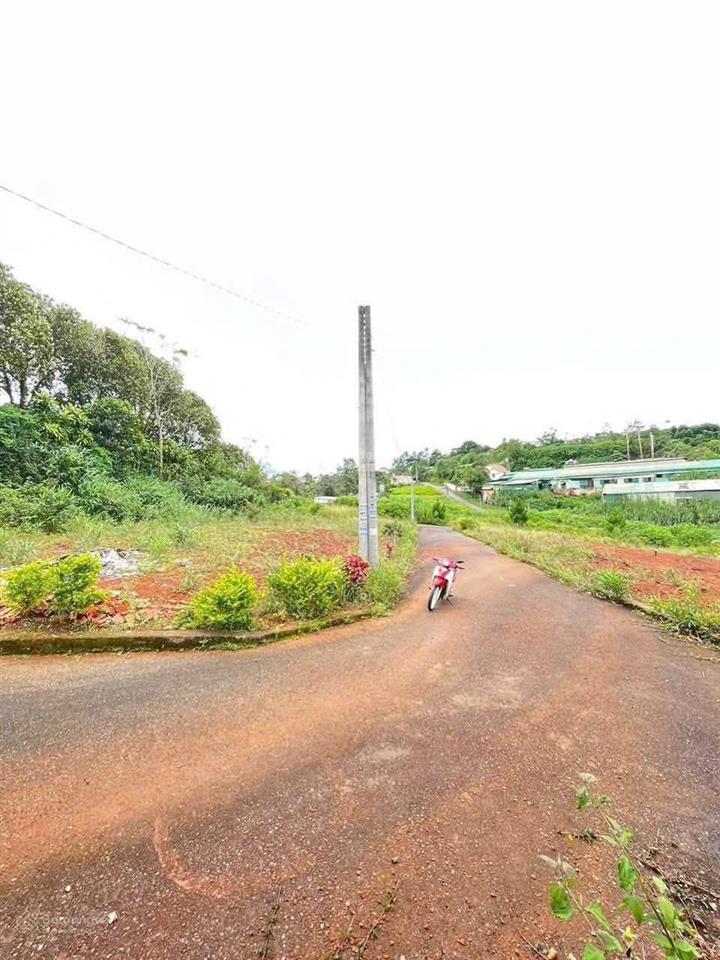 Bán đất tại xã hoà bắc, di linh 128m2