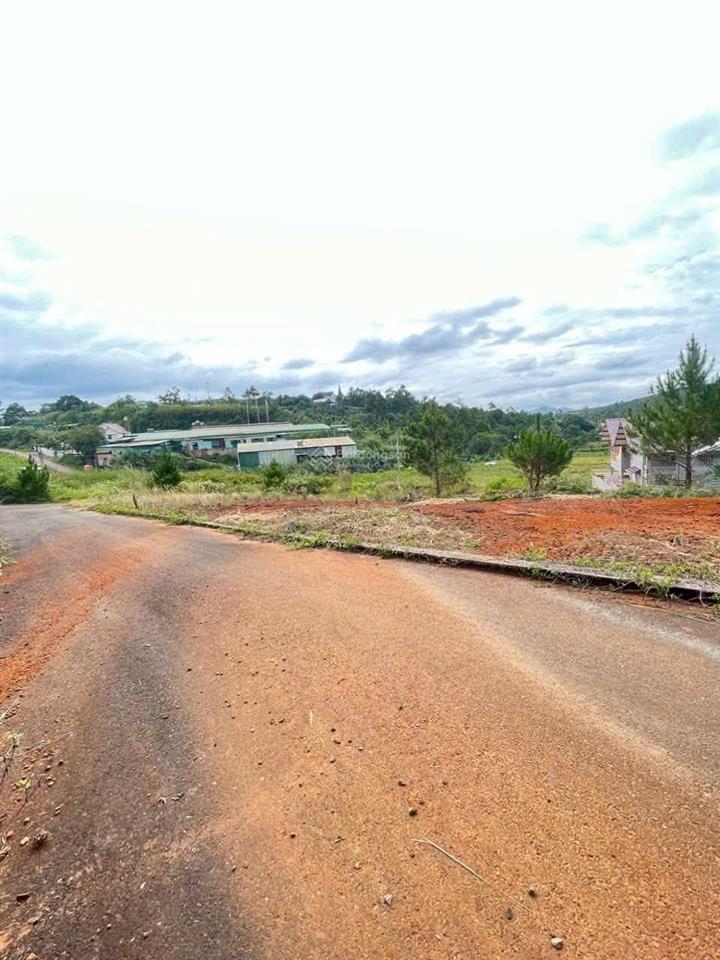 Bán đất tại xã hoà bắc, di linh 128m2