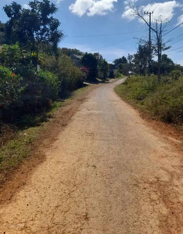 Bán đất tại xã hoà bắc, di linh, lâm đồng, 1,95 tỷ, 177m2