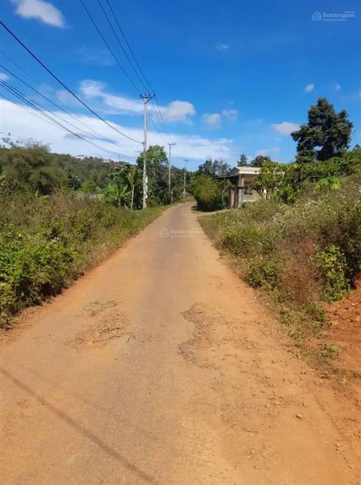 Bán đất tại xã hoà bắc, di linh, lâm đồng, 1,95 tỷ, 177m2