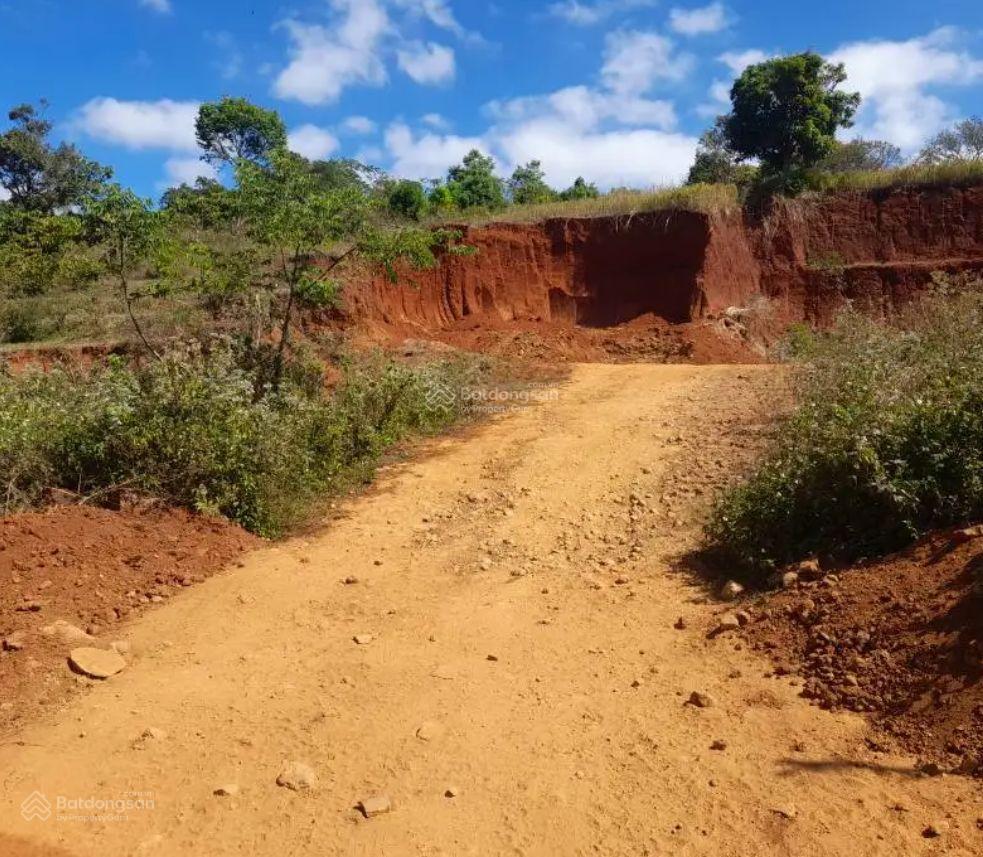 Bán đất tại xã hoà bắc, di linh, lâm đồng, 1,95 tỷ, 177m2