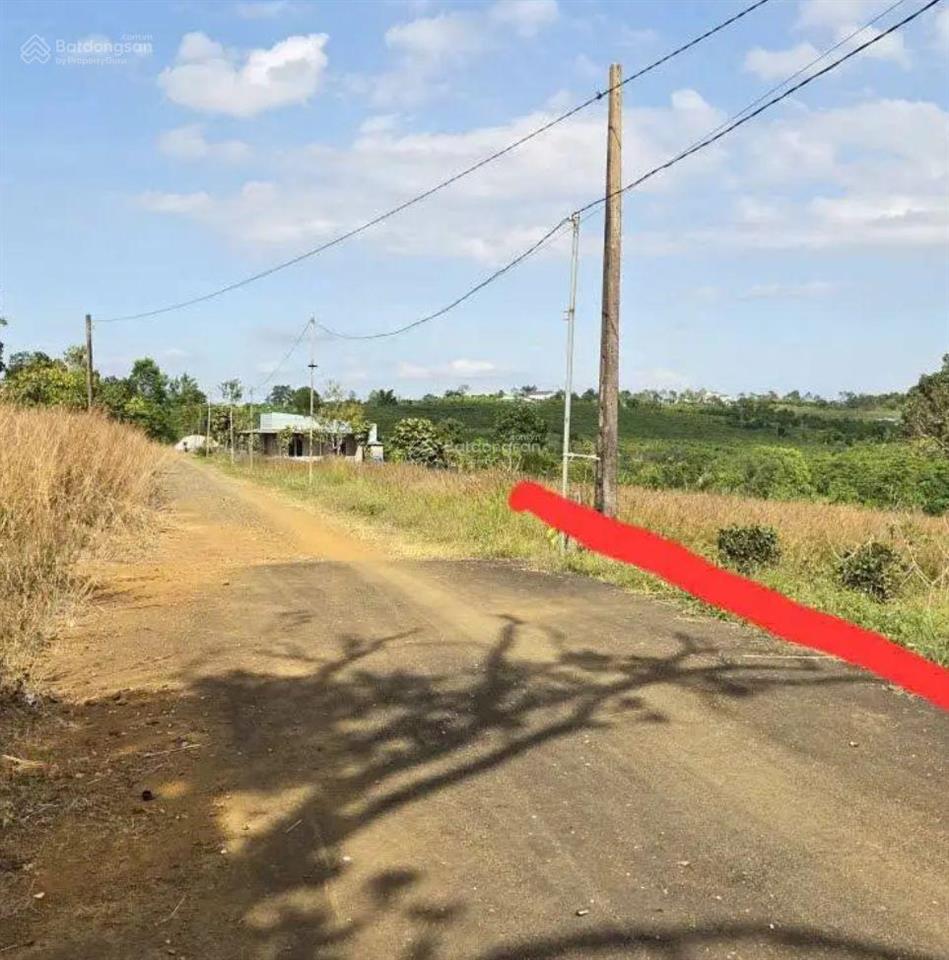 Bán đất tại xã hoà bắc, di linh, 134 m2