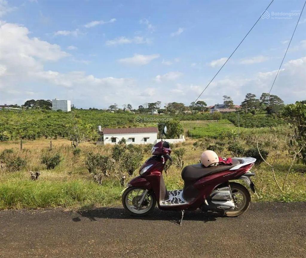 Bán đất tại xã hoà bắc, di linh, 134 m2