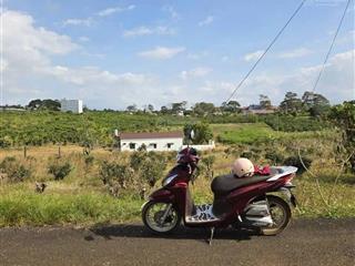 Bán đất tại xã hoà bắc, di linh, 134 m2