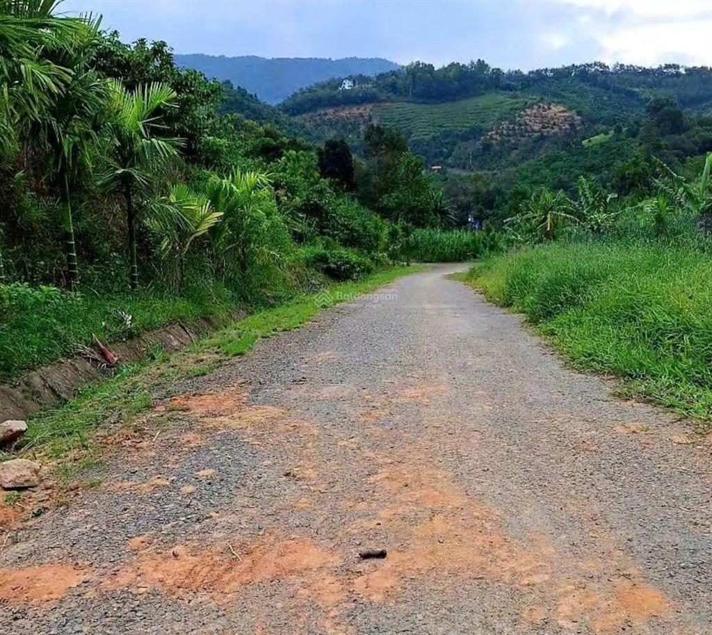 Đất hòa ninh view đồi cực đẹp 103m2 full thổ