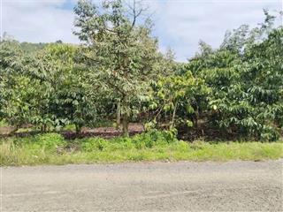 Lô góc 2 mặt tiền hòa ninh siêu thoáng