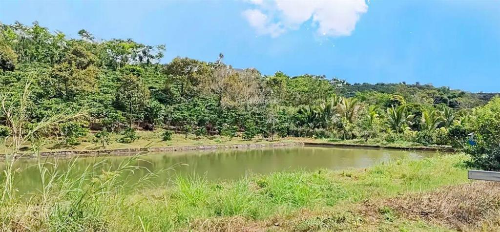 Đất hòa ninh gần trung tâm, chợ, trường học