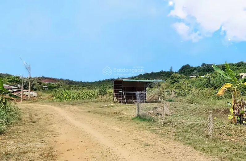 Đất hòa ninh gần trung tâm, chợ, trường học