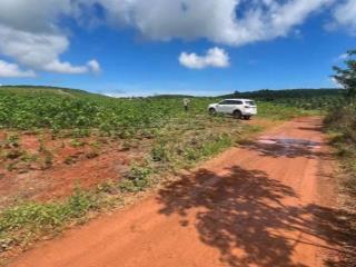 Cần tiền bán gấp đất tại lộc bắc.