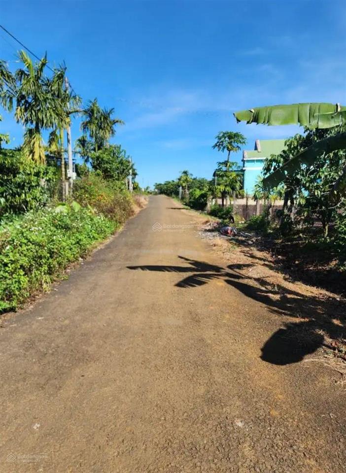 Lô đẹp vuông vức trung tâm hòa ninh