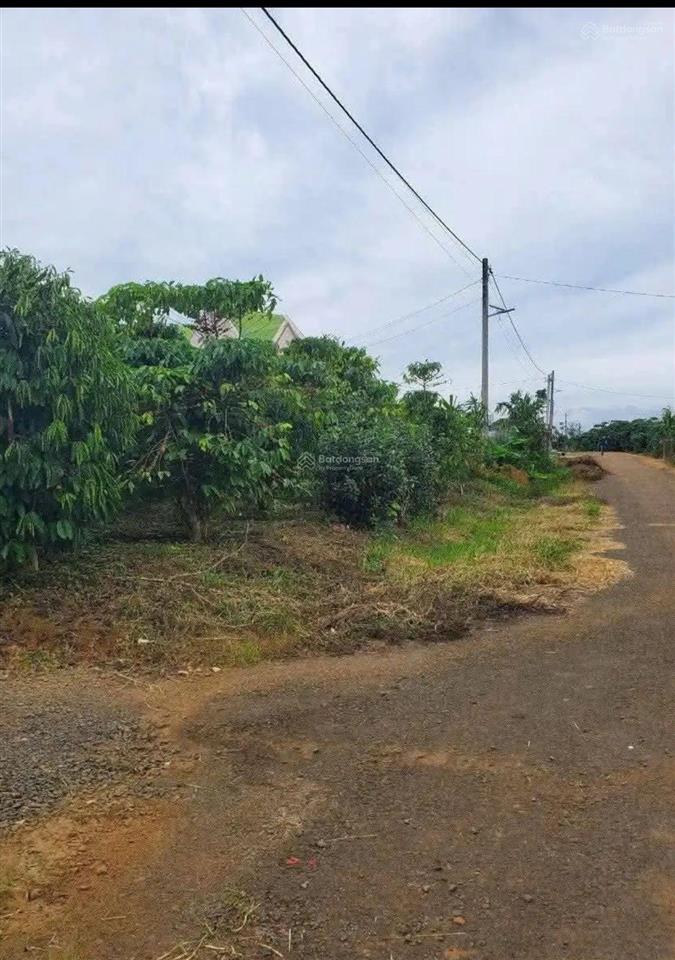 Lô đẹp vuông vức trung tâm hòa ninh