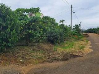Lô đẹp vuông vức trung tâm hòa ninh