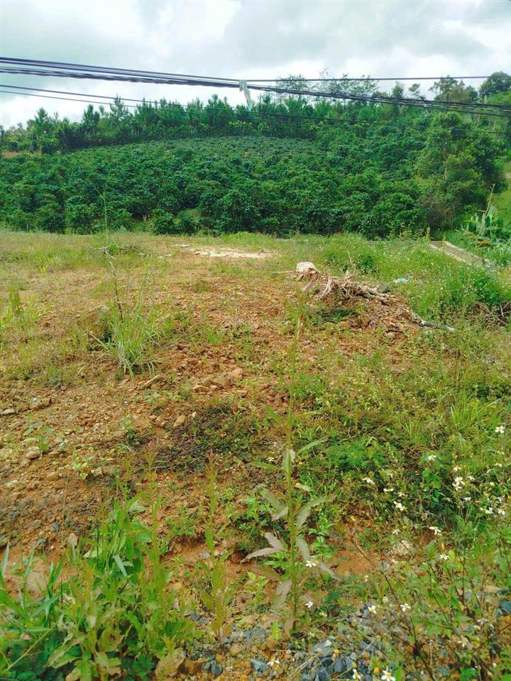 Cần bán lô đất 300m2 tại xã hoà ninh
