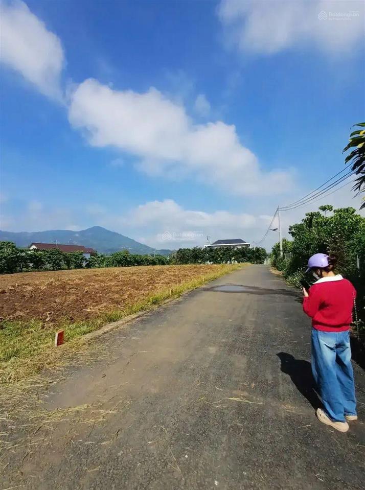 Cần ra đi lô đất 107m2 hòa ninh  di linh