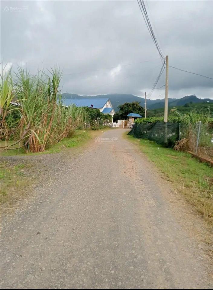 Tìm chủ mới cho lô đất đẹp tại xã hòa ninh, di linh