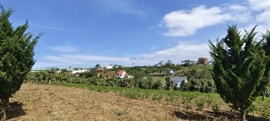 Mặt tiền đường nhựa hoà ninh, lâm đồng