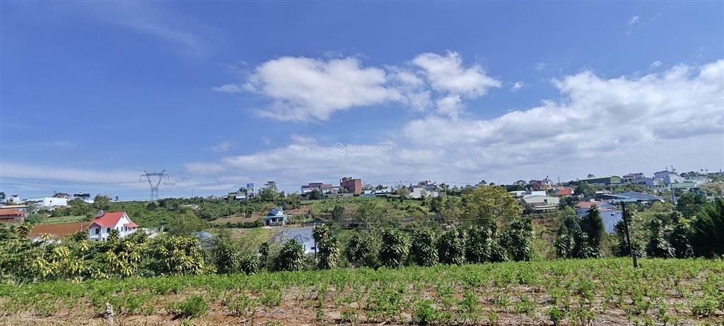 Mặt tiền đường nhựa hoà ninh, lâm đồng