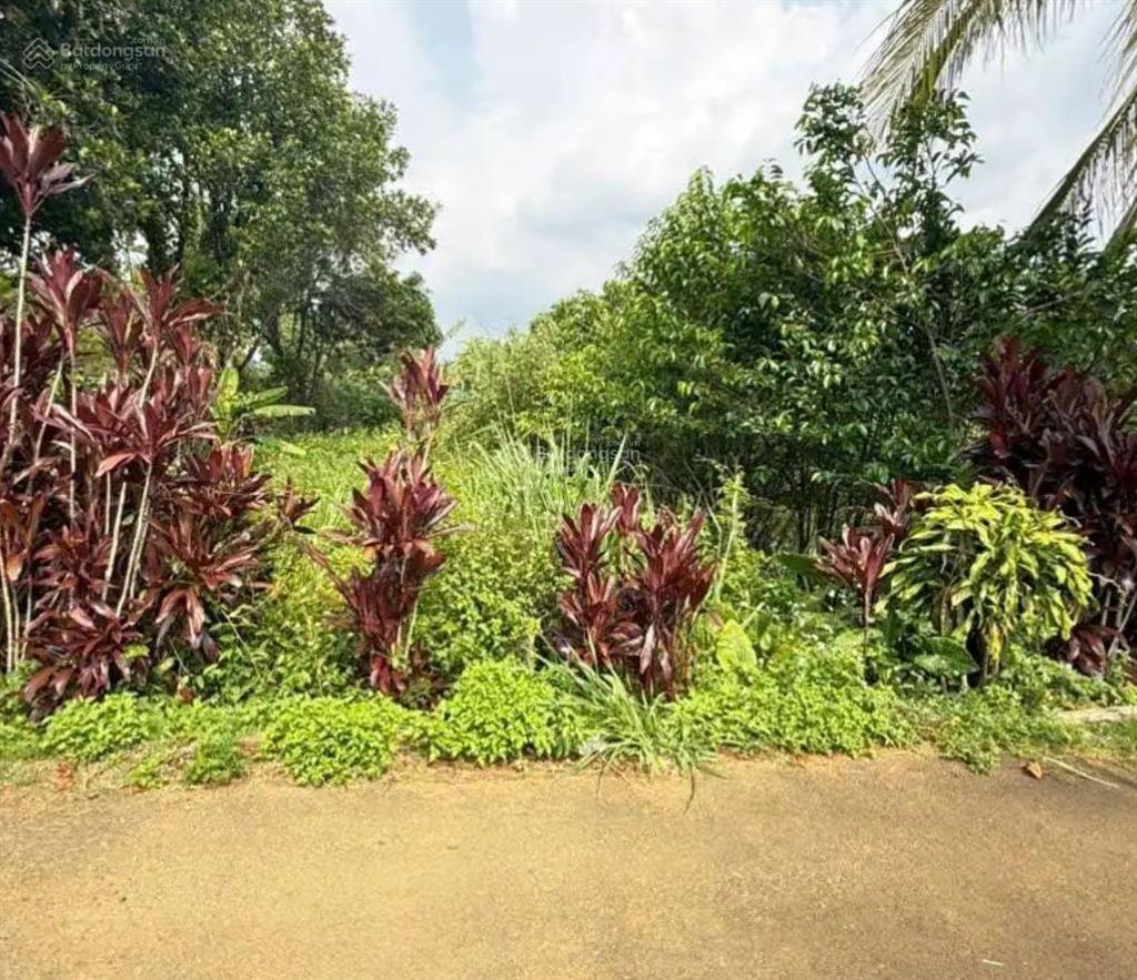Đất gần chợ lộc an  bảo lâm 2