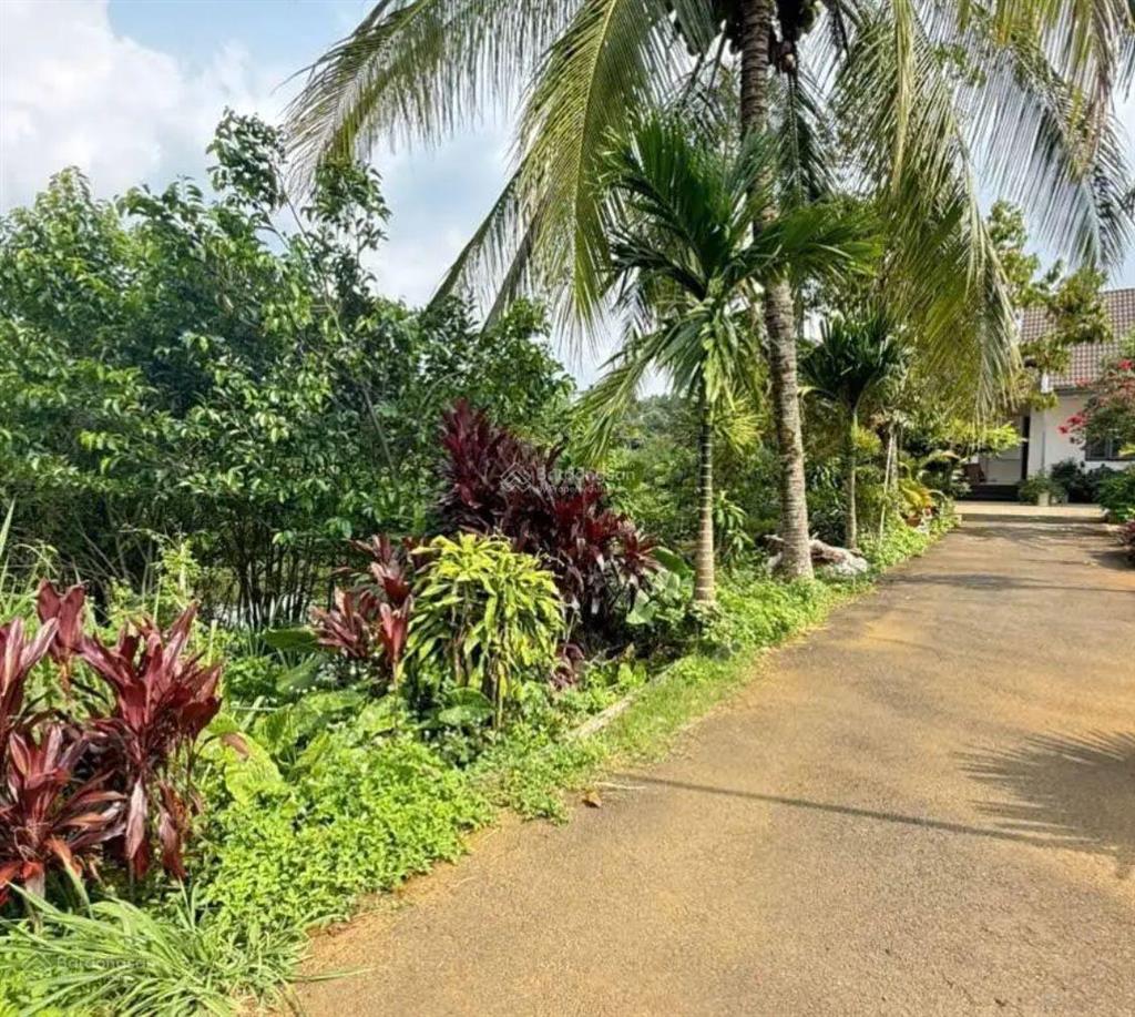 Đất gần chợ lộc an  bảo lâm 2