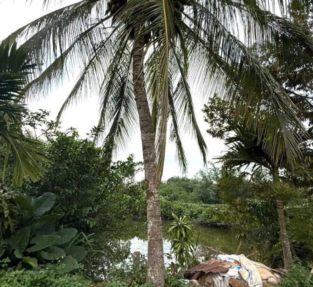 Đất gần chợ lộc an  bảo lâm 2