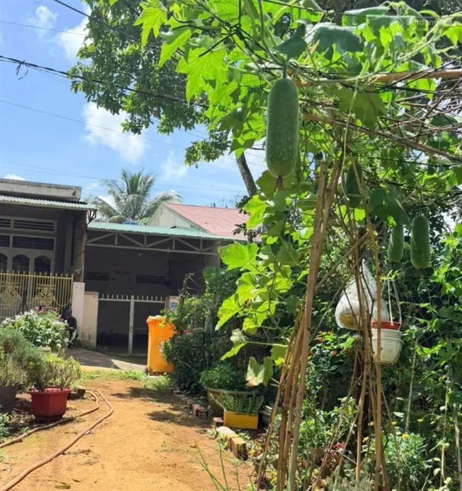 154m2 đất ngay trung tâm lộc an