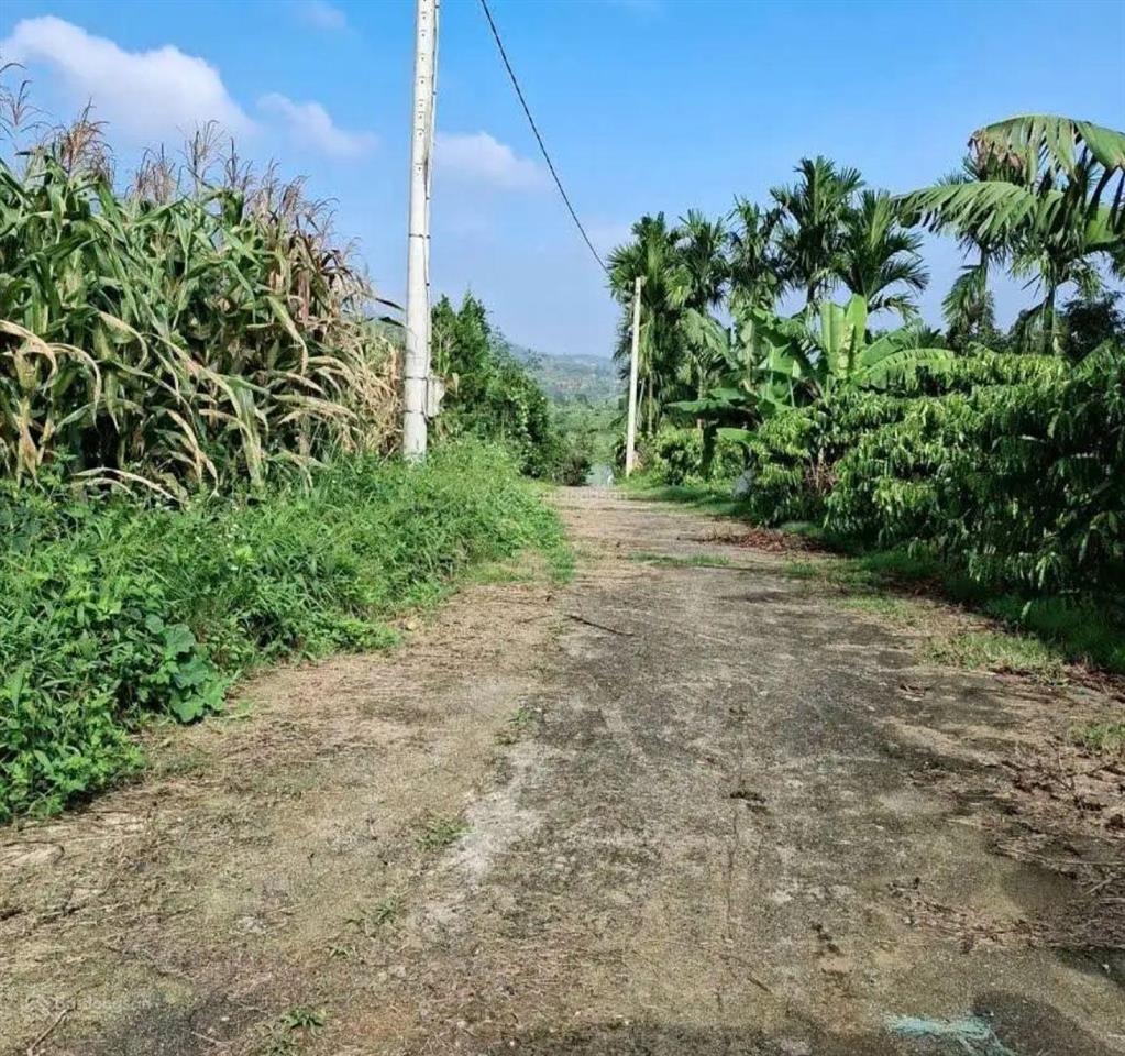 Lô đất đẹp lộc an. giá tốt đầu tư