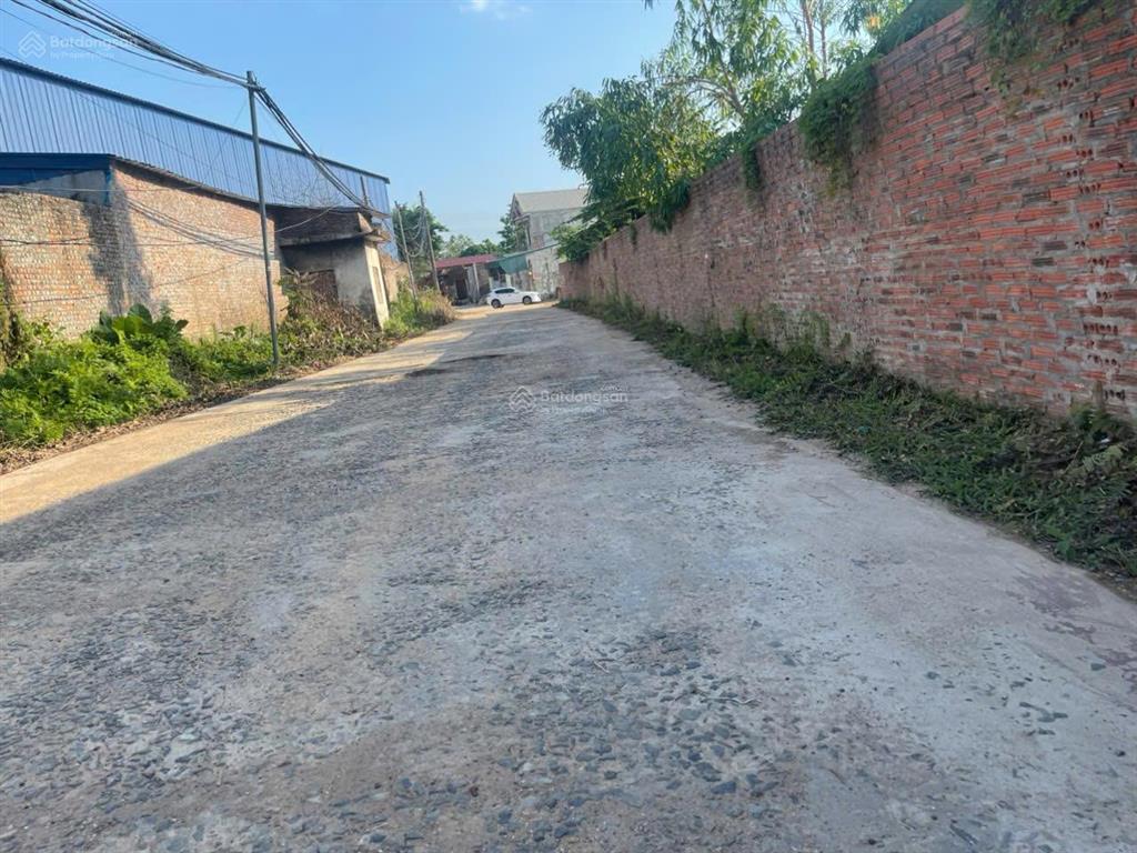 Bán đất thôn quế, hướng đạo, tam dương, vĩnh phúc 2153m2, 3.5 triệu/1m, phân lô, mặt tiền rộng