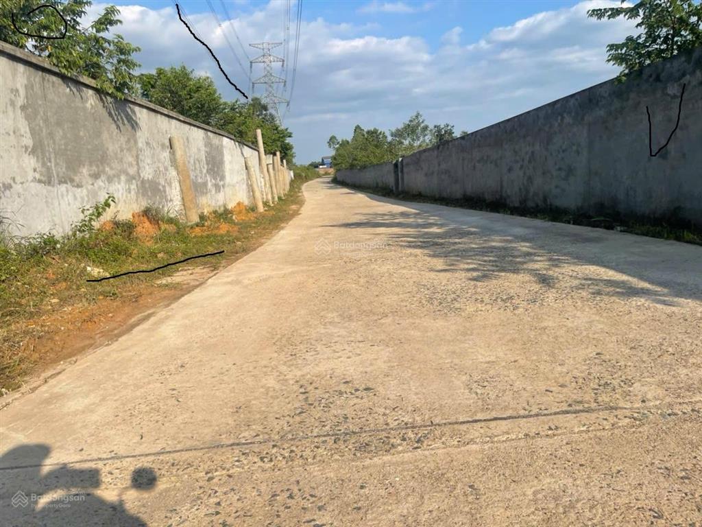 Bán đất thôn quế, hướng đạo, tam dương, vĩnh phúc 2153m2, 3.5 triệu/1m, phân lô, mặt tiền rộng