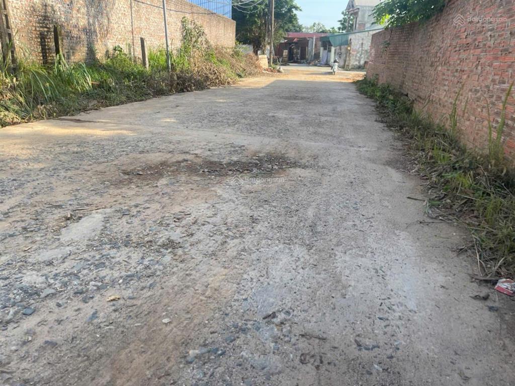 Bán đất thôn quế, hướng đạo, tam dương, vĩnh phúc 2153m2, 3.5 triệu/1m, phân lô, mặt tiền rộng