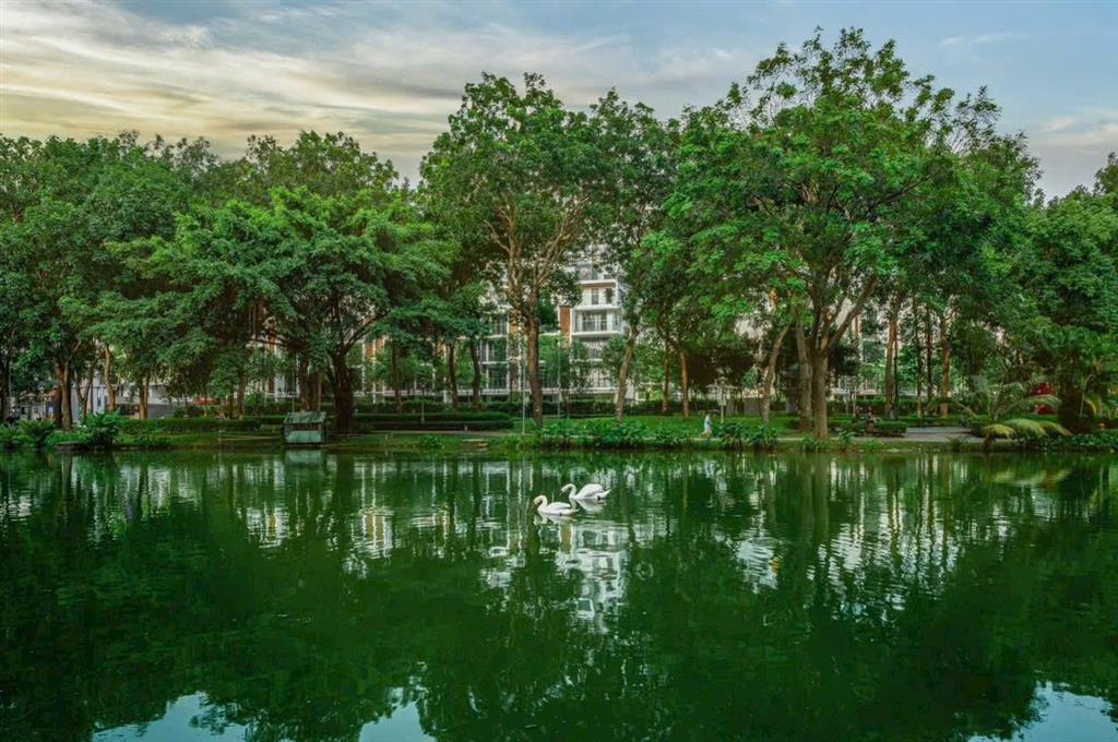 (celadon city)  mua trực tiếp cđt(gamuda land)  tt 20% nhận nhà  ck 29%  ân hạn gốc lãi 24th