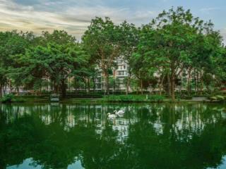 (celadon city)  mua trực tiếp cđt(gamuda land)  tt 20% nhận nhà  ck 29%  ân hạn gốc lãi 24th