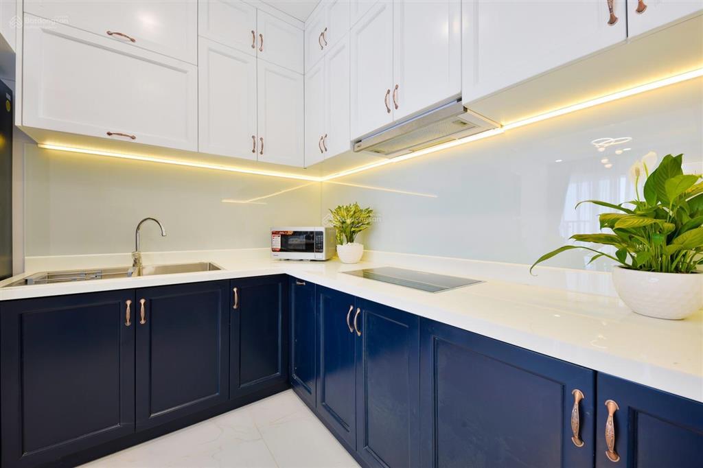 Bán gấp chcc newton 42m2 1pn giá siêu rẻ 3 tỷ 600  trương quốc dung