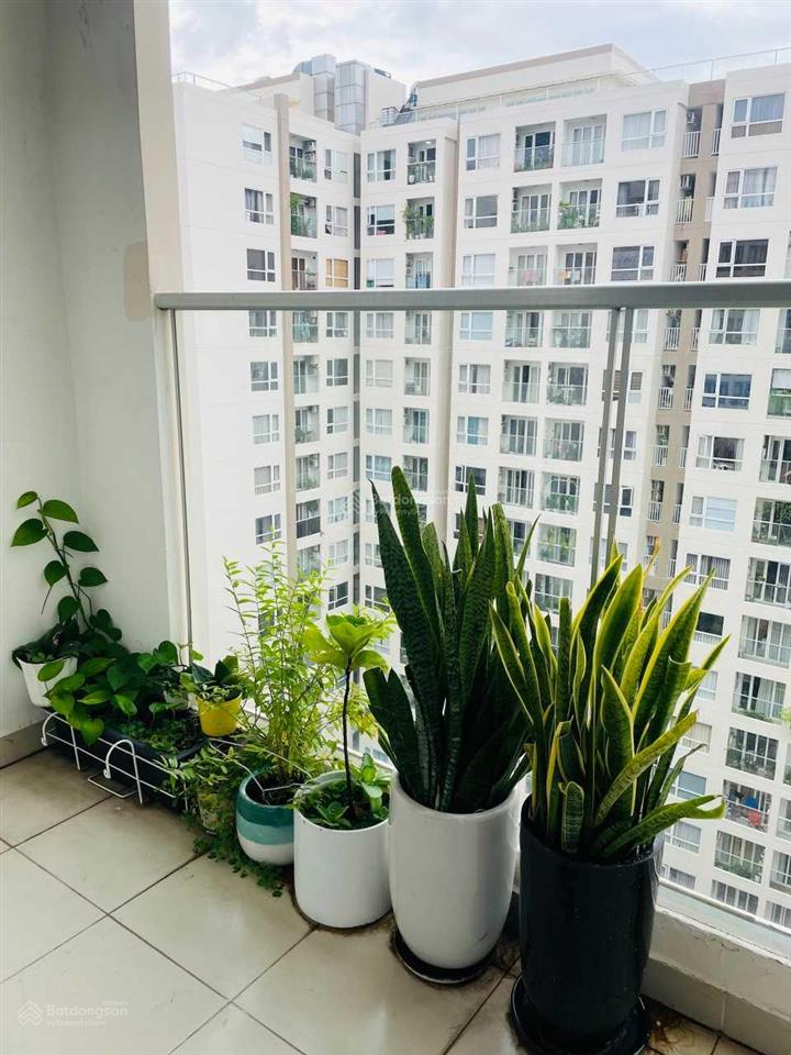 Siêu rẻ sky center nt cơ bản  phổ quang  sân bay, 36m2 giá siêu rẻ 9tr/tháng  vào liền