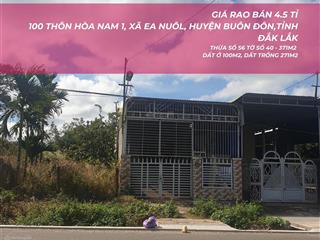 4.5 tỉ  371m2  100 thôn hòa nam 1, xã ea nuôl, huyện buôn đôn, tỉnh đắk lắk