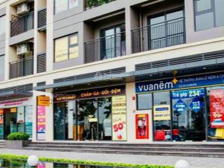 Cho thuê mặt bằng chân đế chung cư vinhom smart city, kinh doanh sầm uất mọi mô hình